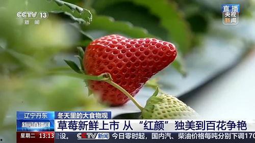 抖音国产 第4页